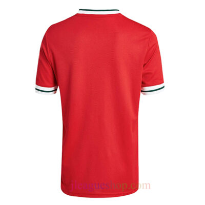 ウェールズ代表 ユニフォーム 2025 激安 - J League Shop
