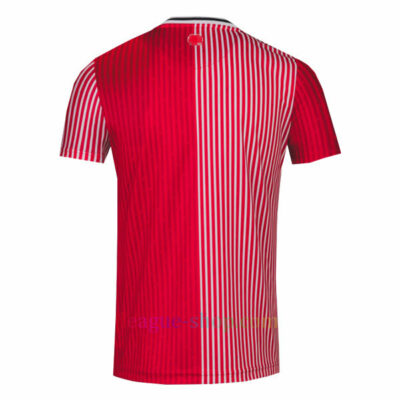サウサンプトンFC サッカーユニフォーム 2025-2026 激安 - J League Shop
