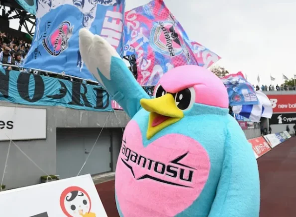 サガン鳥栖ユニフォーム歴代の起源と進化に迫る！ - J League Shop